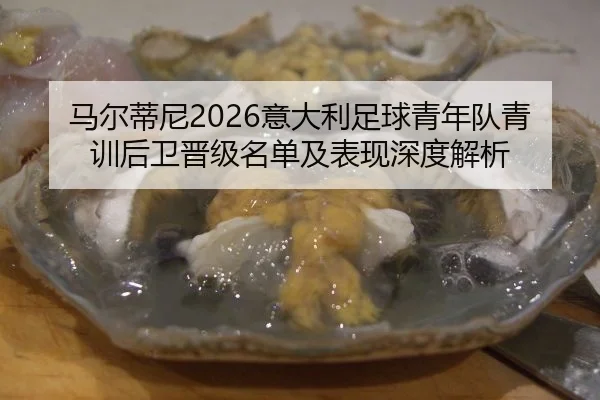 马尔蒂尼2026意大利足球青年队青训后卫晋级名单及表现深度解析